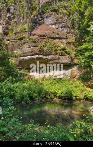 Elbe grès montagnes Edmundsklamm Hrensko Banque D'Images