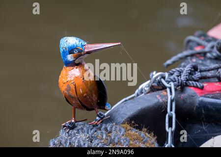 TREVOR WREXHAM, PAYS DE GALLES - JUILLET 15 : Tin Kingfisher sur un bateau étroit près de Trevor, Wrexham, pays de Galles, Royaume-Uni le 15 juillet 2021 Banque D'Images