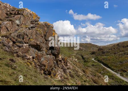 Campagne sauvage autour de Kynance Cove Banque D'Images