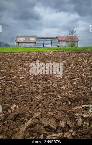 Champ fraîchement labouré en automne et hayfield - Otocec en Slovénie. Banque D'Images