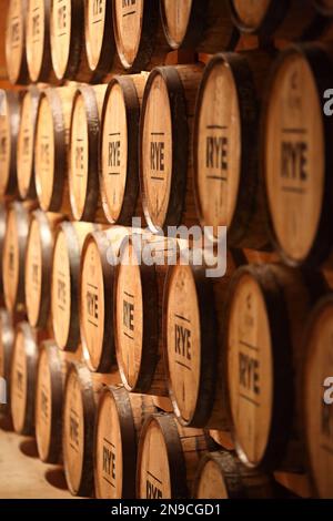 Le Rye de whisky vieillit en barils Banque D'Images