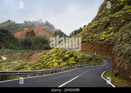 Route en haut de Gran Canaria. Caldera de los Marteles. îles canaries. Banque D'Images