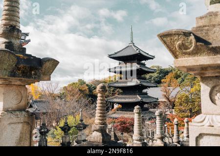 Nagoya, Japon - 2 décembre 2022 : pagode du temple de Koshoji et feuilles d'automne Banque D'Images