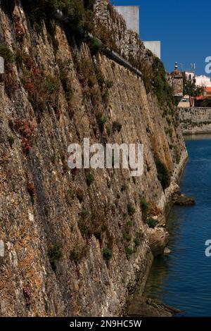 Les plantes florissantes s'épanouissent sur les remparts en pente de front de mer de la Fortaleza de Peniche ou forteresse de Peniche, fondée à la mi-1500s par le roi Jean III pour protéger la côte atlantique et le port animé de Peniche dans le district de Leiria, au centre du Portugal. Des bartizans en briques ou en pierre bombées ou des tours d'observation d'angle dépassent des murs à leurs angles. Banque D'Images