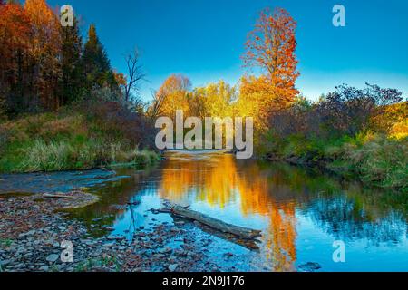 Le long de 15,0 kilomètres de long West Branch Wallenpaupack Creek s'élève dans les montagnes Moosic, en Pennsylvanie, et est un affluent de la rivière Delaware. Banque D'Images