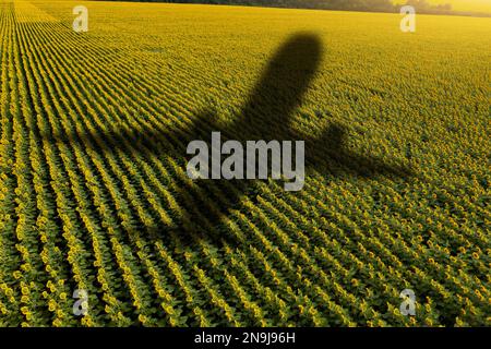 Ombre de l'avion sur le champ agricole. Concept de décarbonisation et de biocarburant Banque D'Images