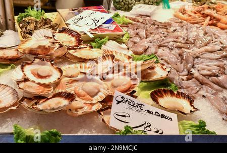 Gros plan de la prise de la journée à la Loggia du marché aux poissons du Rialto avec pétoncles et caid, sestiere de San Polo, Venise, Vénétie, Italie Banque D'Images