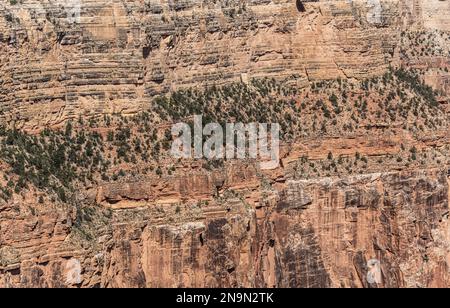 Célèbre plateau du Grand Canyon en Arizona, États-Unis Banque D'Images