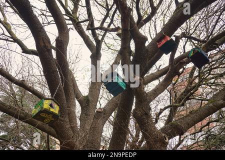 maisons d'oiseaux colorées accrochées aux branches des arbres Banque D'Images