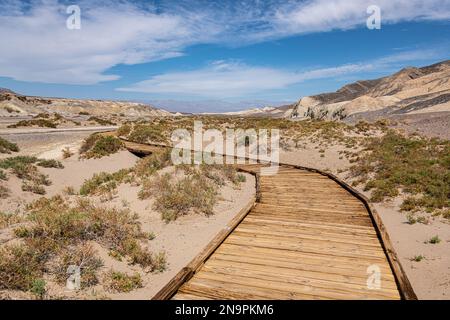 Sentier d'interprétation de Salt Creek dans le parc national de la Vallée de la mort Banque D'Images