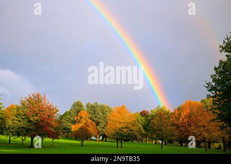 Arc-en-ciel sur des arbres colorés d'automne dans un parc de Portland, Oregon, USA ; Portland, Oregon, États-Unis d'Amérique Banque D'Images