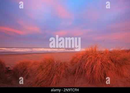 Lumière chaude du lever du soleil sur la plage de Bandon sur la côte de l'Oregon, vue depuis coquille River Light, États-Unis ; Oregon, États-Unis d'Amérique Banque D'Images