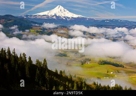 Le ciel bleu met en évidence le mont Hood enneigé et les nuages au-dessus de la vallée de la rivière Hood, Oregon, États-Unis ; Oregon, États-Unis d'Amérique Banque D'Images