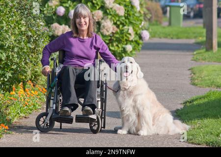 Femme handicapée en fauteuil roulant avec son golden retriever dog Banque D'Images