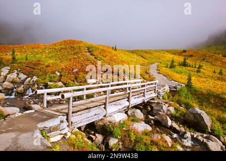 Passerelle au-dessus d'un ruisseau et feuillage coloré en automne dans les prairies avec le mont Rainier obscurci par les nuages dans le parc national du mont Rainier Banque D'Images