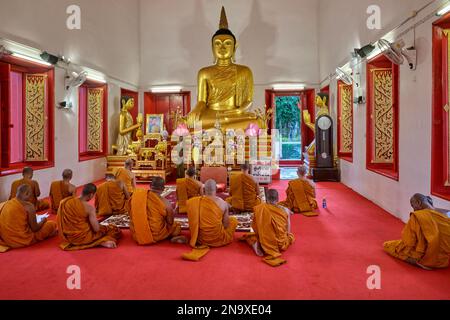 Un groupe de moines bouddhistes réunis pour des prières du soir devant une statue de Bouddha à Wat Mongkon (Mongkol) Nimit, ville de Phuket, Thaïlande Banque D'Images