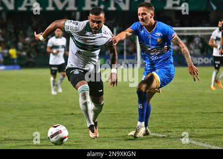 Curitiba, Brésil. 12th févr. 2023. PR - Curitiba - 02/12/2023 - PARANANENSE 2023, CORITIBA X SAOJOSEENSE - William Pottker joueur Coritiba lors d'un match contre Saojoseense au stade Couto Pereira pour le championnat Paranaense 2023. Photo: Gabriel Machado/AGIF/Sipa USA crédit: SIPA USA/Alay Live News Banque D'Images