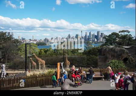 Le zoo de Taronga avec les gratte-ciel de Sydney en arrière-plan ; Sydney, Nouvelle-Galles du Sud, Australie Banque D'Images