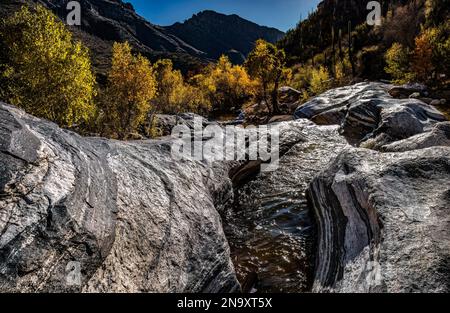 Automne à Sabino Canyon, Tucson, Arizona Banque D'Images