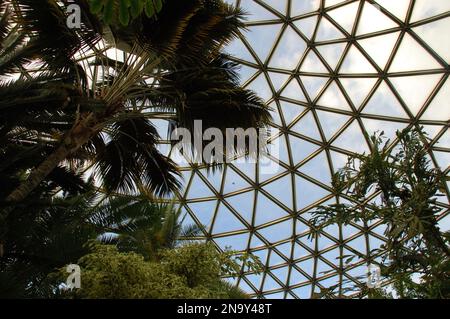 Vue à l'intérieur du Bloedel Conservatory à Queen Elizabeth Park, Vancouver ; Vancouver, Colombie-Britannique, Canada Banque D'Images