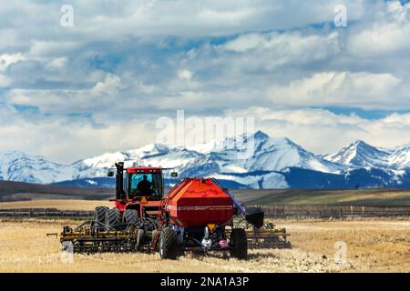 Tracteur et semoir, ensemencement d'un champ avec une chaîne de montagnes enneigées au loin avec des nuages et un ciel bleu, à l'ouest de High River, Alberta Banque D'Images