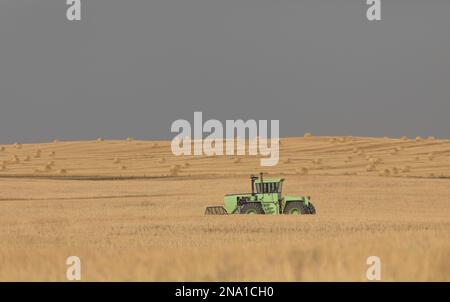 Tracteur sur les terres agricoles au moment de la récolte ; Alberta, Canada Banque D'Images