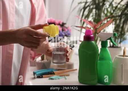 Femme mélangeant l'engrais liquide avec l'eau pour prendre soin des plantes de maison à l'intérieur, de près Banque D'Images