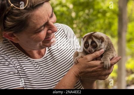 Une femme sourit en tenant un loris lent entre les mains Banque D'Images