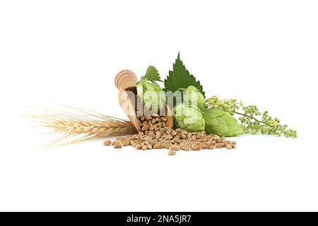 Sautez des cônes et des fleurs près de graines de blé qui se répandent dans une pelle en bois, la bière brassicole et les ingrédients de la pharmacie Banque D'Images