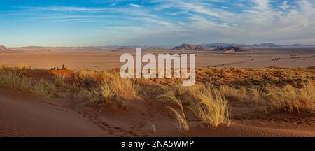 Les touristes regardent le désert de la dune Elim, Sesriem, désert du Namib ; Namibie Banque D'Images