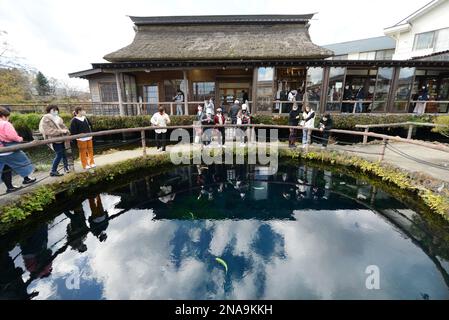 Bassin de Chuike au village d'Oshino Hakkai dans la préfecture de Yamanashi au Japon. Banque D'Images