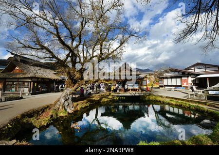 Bassin de Wakuike aux sources d'Oshino Hakkai dans la préfecture de Yamanashi au Japon. Banque D'Images