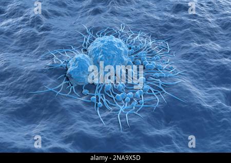 Cellules de cancer de la thyroïde - vue isométrique 3D illustration Banque D'Images