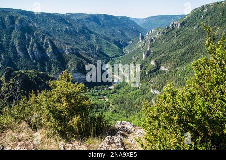 Vue panoramique sur une chaîne de montagnes verdoyantes depuis le point sublime en Lozère, en France Banque D'Images