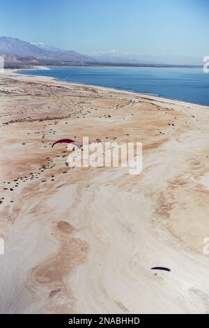 Paramotorist flying along the shore. Stock Photo