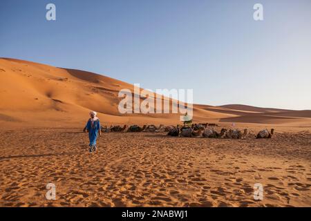 Un Marocain vêtu de vêtements traditionnels marche près d'un train de chameaux situé dans le Sahara près d'Erg Chebbi, Maroc ; Erg Chebbi, Maroc Banque D'Images