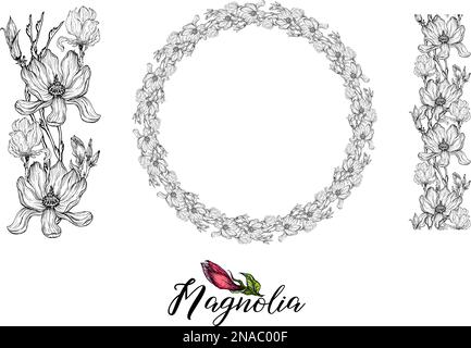 Ensemble de compositions florales vectorielles avec fleurs de Magnolia. Délicate carte graphique romantique magnolias. Illustration de Vecteur