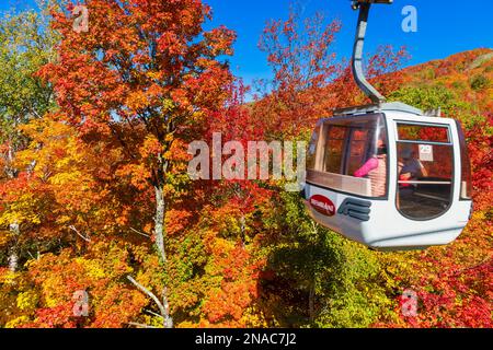 Téléphérique aux couleurs automnales à la station de ski Mont-Tremblant dans les Laurentides du Québec ; Québec, Canada Banque D'Images