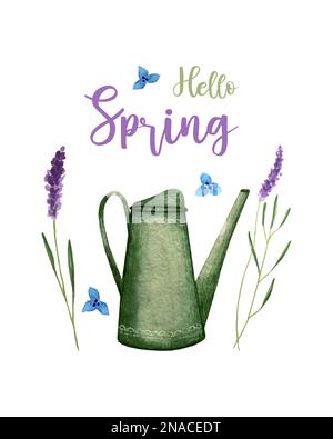 Bannière Hello Spring avec arrosoir de jardin, lavande peinte à l'aquarelle. Illustration vectorielle Illustration de Vecteur