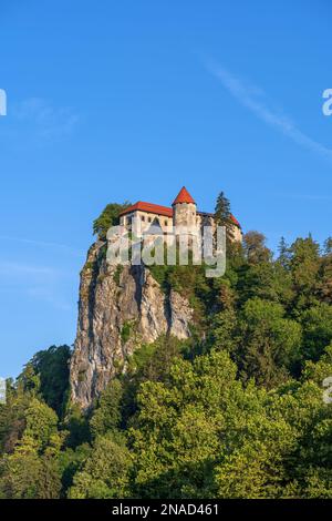 Château de Bled en Slovénie, forteresse médiévale perchée au sommet d'une falaise dans les Alpes juliennes, région du nord-ouest. Banque D'Images