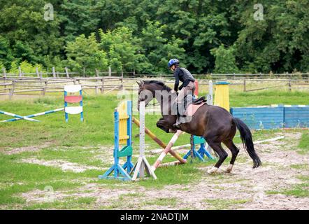 Jeune pilote au saut de spectacle. Le cavalier saute au-dessus de l'obstacle Banque D'Images