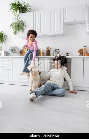 Une femme afro-américaine joyeuse tenant un café près d'un petit ami et du labrador au sol dans la cuisine Banque D'Images