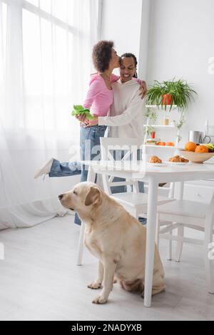 Femme afro-américaine embrassant un petit ami et tenant un chiffon près du labrador dans la cuisine Banque D'Images