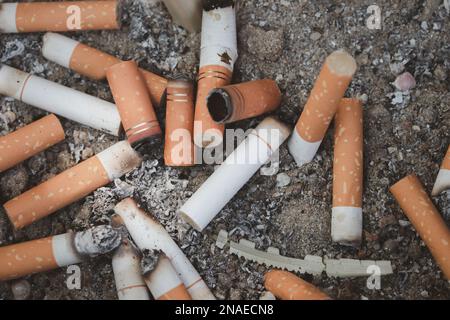 Mégots de cigarettes combinés dans un concept de disque de cigarettes de nombreux débris de cigarettes après avoir fumé Banque D'Images