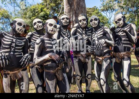 Des hommes d'os du village de minima dans la province de Chimbu, faisant la danse Omo Masalai—une danse d'esprit. Ils participent à un Sing Sing, un rassemblement de tribus ou Banque D'Images