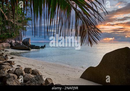 Photo atmosphérique d'Anse Source d'argent, l'Union Estate, la Digue, Seychelles Banque D'Images