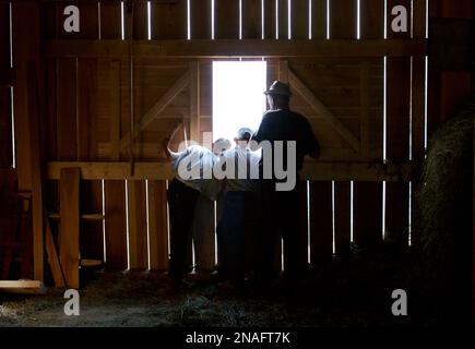 Deux garçons aident leur oncle dans une ferme dans les Dolomites ; la Val, Tyrol du Sud, Italie Banque D'Images