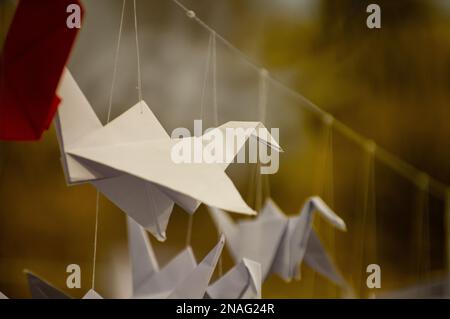 Grues Origami pliées japonaises suspendues avec des cordes. Des centaines d'oiseaux en papier faits main isolés avec un espace de copie. 1000 mille grue tsuru sujet de sculpture. Symbole de paix, de foi, de santé, de souhaits, d'espoir Banque D'Images