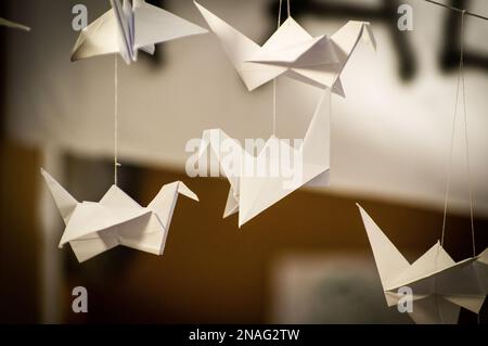 Grues Origami pliées japonaises suspendues avec des cordes. Des centaines d'oiseaux en papier faits main isolés avec un espace de copie. 1000 mille grue tsuru sujet de sculpture. Symbole de paix, de foi, de santé, de souhaits, d'espoir Banque D'Images