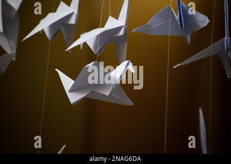 Grues Origami pliées japonaises suspendues avec des cordes. Des centaines d'oiseaux en papier faits main isolés avec un espace de copie. 1000 mille grue tsuru sujet de sculpture. Symbole de paix, de foi, de santé, de souhaits, d'espoir Banque D'Images
